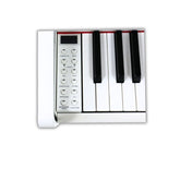Steiner DP-250 Digital Piano – White